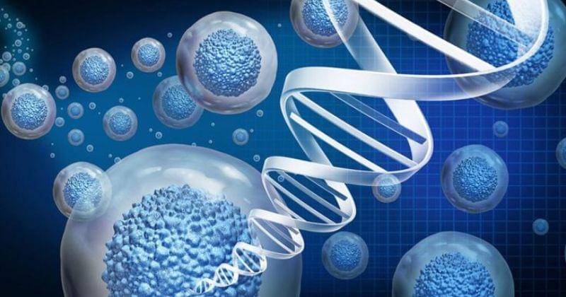 Pinterest.com/GiostarIndia